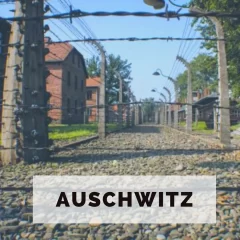 Imprescindibles y como visitar Auschwitz