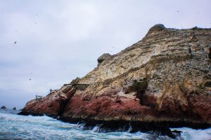 Islas Ballestas | Que ver en Paracas