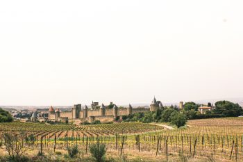 Panoramica de Carcasona con los viñedos