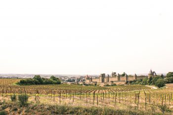 Panoramica de Carcasona con viñedos