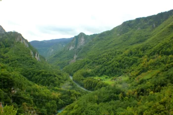 Cañón del Río Tara - Imprescindibles de Montenegro