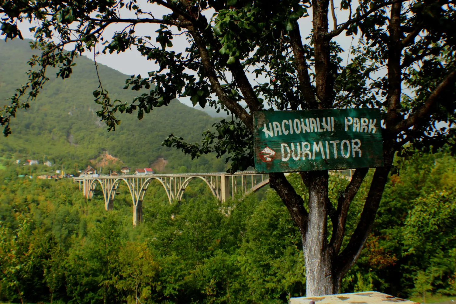 Puente del Cañón del Río Tara - Imprescindibles de Montenegro