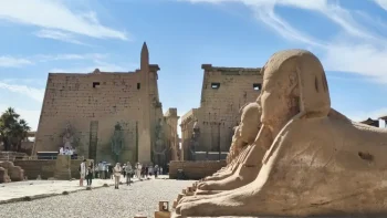 Avenida de las esfinges - Que ver en Luxor - Ruta por Egipto en 7 dias