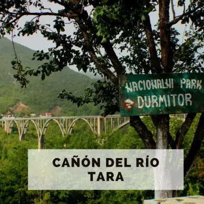Cañón del río Tara